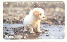 Telephone Card - Japan 105 units phone card showing Wet Puppy on Beach (card number 111-040), stamps on dogs   