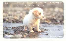 Telephone Card - Japan 105 units phone card showing Wet Puppy on Beach (card number 111-040), stamps on dogs