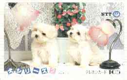 Telephone Card - Japan 105 units phone card showing Two Shihtzu Puppies with Desk Lamps (card number 290-383), stamps on dogs