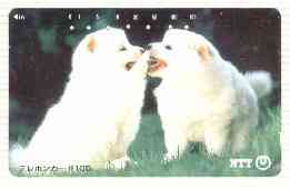 Telephone Card - Japan 105 units phone card showing Two White Sameoyed Puppies in Field (card number 111-074), stamps on dogs   