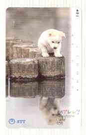 Telephone Card - Japan 105 units phone card showing Puppy on Log Looking at his Reflection (card number 391-074), stamps on dogs   