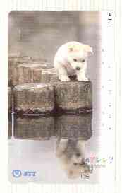 Telephone Card - Japan 105 units phone card showing Puppy on Log Looking at his Reflection (card number 391-074), stamps on dogs