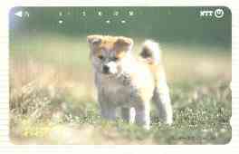 Telephone Card - Japan 50 units phone card showing Spitz Puppy (card number 411-208), stamps on , stamps on  stamps on dogs   