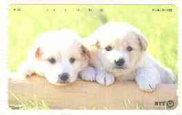 Telephone Card - Japan 50 units phone card showing two Retriever (?) puppies over a board (card number 231-184), stamps on dogs   