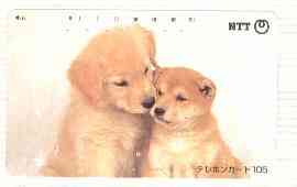 Telephone Card - Japan 105 units phone card showing Golden Retriever & Chow Puppies (card number 111-086), stamps on , stamps on  stamps on dogs   