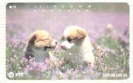 Telephone Card - Japan 105 units phone card showing two Puppies in Field of Purple Flowers (card number 111-059), stamps on , stamps on  stamps on dogs   