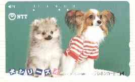 Telephone Card - Japan 50 units phone card showing two Puppies, one wearing red & white striped shirt (card number 290-384), stamps on dogs   