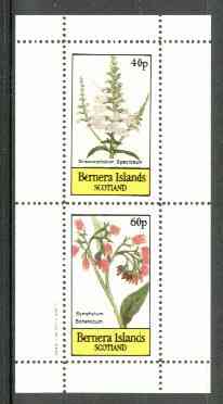 Bernera 1982 Flowers #18 (Dracocephalum & Symphytum) perf  set of 2 values (40p & 60p) unmounted mint, stamps on , stamps on  stamps on flowers