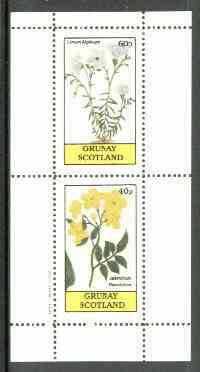 Grunay 1982 Flowers #06 (Linum & Jasminum) perf set of 2 (40p & 60p) unmounted mint, stamps on , stamps on  stamps on flowers