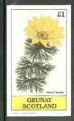 Grunay 1982 Flowers #06 (Adonis vernalis) imperf souvenir sheet (£1 value) unmounted mint, stamps on flowers