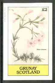 Grunay 1982 Flowers #06 (Phlox setacea) imperf deluxe sheet (Â£2 value) unmounted mint, stamps on flowers