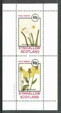 Eynhallow 1982 Flowers #19 (Narcissus & Rudbeckia) perf set of 2 values unmounted mint, stamps on flowers