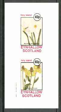 Eynhallow 1982 Flowers #19 (Narcissus & Rudbeckia) imperf set of 2 values unmounted mint, stamps on , stamps on  stamps on flowers