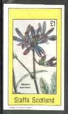 Staffa 1982 Flowers #26 (Senecio speciosus) imperf souvenir sheet (Â£1 value) unmounted mint, stamps on , stamps on  stamps on flowers    