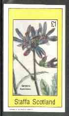 Staffa 1982 Flowers #26 (Senecio speciosus) imperf souvenir sheet (£1 value) unmounted mint, stamps on flowers    