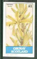 Grunay 1982 Flowers #07 (Asphodelus tauricus) imperf souvenir sheet (Â£1 value) unmounted mint, stamps on , stamps on  stamps on flowers