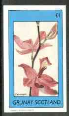 Grunay 1982 Flowers #09 (Calopogon) imperf souvenir sheet (Â£1 value) unmounted mint, stamps on , stamps on  stamps on flowers, stamps on  stamps on orchids