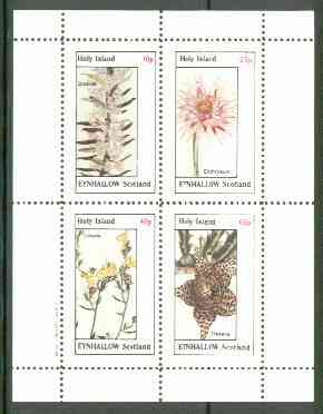 Eynhallow 1982 Flowers #22 (Diosma, Elichrysum, Linaria & Stapelia) perf set of 4 values unmounted mint, stamps on , stamps on  stamps on flowers