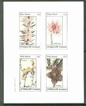 Eynhallow 1982 Flowers #22 (Diosma, Elichrysum, Linaria & Stapelia) imperf set of 4 values unmounted mint, stamps on flowers