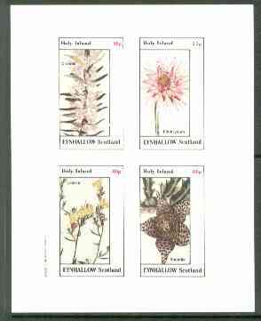 Eynhallow 1982 Flowers #22 (Diosma, Elichrysum, Linaria & Stapelia) imperf set of 4 values unmounted mint, stamps on , stamps on  stamps on flowers