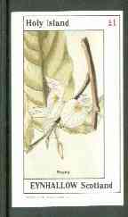 Eynhallow 1982 Flowers #22 (Baphia) imperf souvenir sheet (£1 value) unmounted mint, stamps on flowers