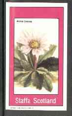 Staffa 1982 Flowers #27 (Arnica crenata) imperf souvenir sheet (Â£1 value) unmounted mint, stamps on flowers