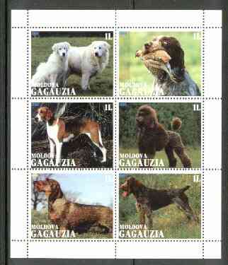 Gagauzia Republic 1999 Dogs sheetlet containing 6 values unmounted mint, stamps on , stamps on  stamps on dogs