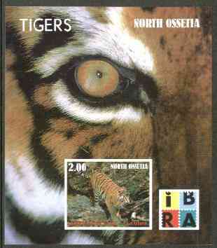 North Ossetia Republic 1999 Tigers imperf souvenir sheet (with IBRA Logo) unmounted mint, stamps on , stamps on  stamps on cats    tigers, stamps on  stamps on stamp exhibitions