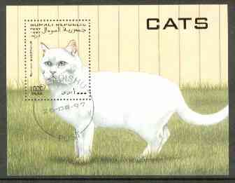 Somalia 1997 Domestic Cats perf m/sheet fine cds used, stamps on cats