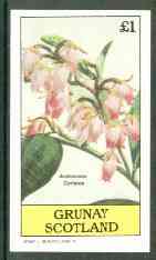 Grunay 1982 Flowers #10 (Andromeda coriacea) imperf souvenir sheet (Â£1 value) unmounted mint, stamps on flowers