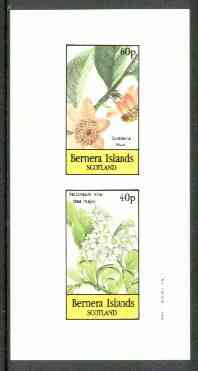 Bernera 1982 Flowers #19 (Guatteria & Vaccineum) imperf  set of 2 values (40p & 60p) unmounted mint, stamps on , stamps on  stamps on flowers