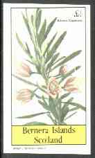 Bernera 1982 Flowers #19 (Aitonia capensis) imperf souvenir sheet (£1 value) unmounted mint, stamps on flowers