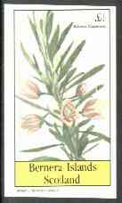 Bernera 1982 Flowers #19 (Aitonia capensis) imperf souvenir sheet (1 value) unmounted mint