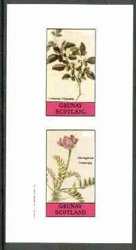 Grunay 1982 Flowers #11 (Limonia & Astragalus) imperf set of 2 (40p & 60p) unmounted mint, stamps on , stamps on  stamps on flowers