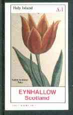Eynhallow 1982 Flowers #25 (Tulip) imperf souvenir sheet (Â£1 value) unmounted mint, stamps on flowers