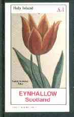 Eynhallow 1982 Flowers #25 (Tulip) imperf souvenir sheet (£1 value) unmounted mint, stamps on flowers