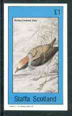 Staffa 1982 Birds #63 (Rufus Crowned Tody) imperf souvenir sheet (£1 value) unmounted mint, stamps on birds      