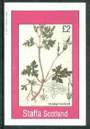 Staffa 1982 Flowers #28 (Stinkinmg Cranesbill) imperf deluxe sheet (Â£2 value) unmounted mint, stamps on flowers