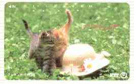 Telephone Card - Japan 105 units phone card showing Two Kittens with straw bonnet (card 111-020), stamps on cats      