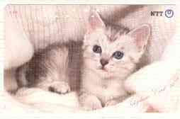 Telephone Card - Japan 50 units phone card showing Kitten laying on blanket (card 290-215), stamps on cats      