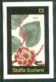 Staffa 1982 Protea imperf  deluxe sheet (Â£2 value) unmounted mint, stamps on flowers    
