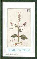 Staffa 1982 Flowers #30 (Circaea) imperf souvenir sheet (£1 value) unmounted mint, stamps on flowers    