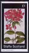 Staffa 1982 Flowers #31 (Phlox) imperf souvenir sheet (£1 value) unmounted mint, stamps on flowers    