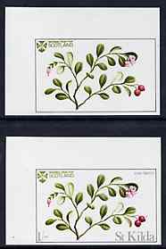St Kilda 1969 Flowers 1s (Cow Berry) imperf single with grey omitted (St Kilda, imprint & value) plus imperf normal unmounted mint, stamps on flowers        