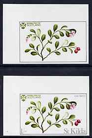 St Kilda 1969 Flowers 1s (Cow Berry) imperf single with grey omitted (St Kilda, imprint & value) plus imperf normal unmounted mint, stamps on flowers