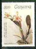 Guyana 1985-89 Orchids Series 2 plate 89 (Sanders Reichenbachia) 520c unmounted mint, SG 2181*, stamps on orchids, stamps on flowers