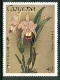 Guyana 1985-89 Orchids Series 1 plate 91 (Sanders Reichenbachia) 40c unmounted mint, SG 1822*, stamps on orchids, stamps on flowers