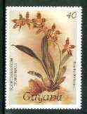 Guyana 1985-89 Orchids Series 1 plate 86 (Sanders' Reichenbachia) 40c unmounted mint, SG 1868*, stamps on , stamps on  stamps on orchids, stamps on  stamps on flowers