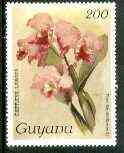 Guyana 1985-89 Orchids Series 2 plate 49 (Sanders Reichenbachia) 200c unmounted mint, SG 2605, stamps on orchids, stamps on flowers