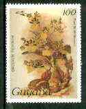 Guyana 1985-89 Orchids Series 1 plate 88 (Sanders' Reichenbachia) 100c unmounted mint, SG 1750, stamps on , stamps on  stamps on orchids, stamps on  stamps on flowers
